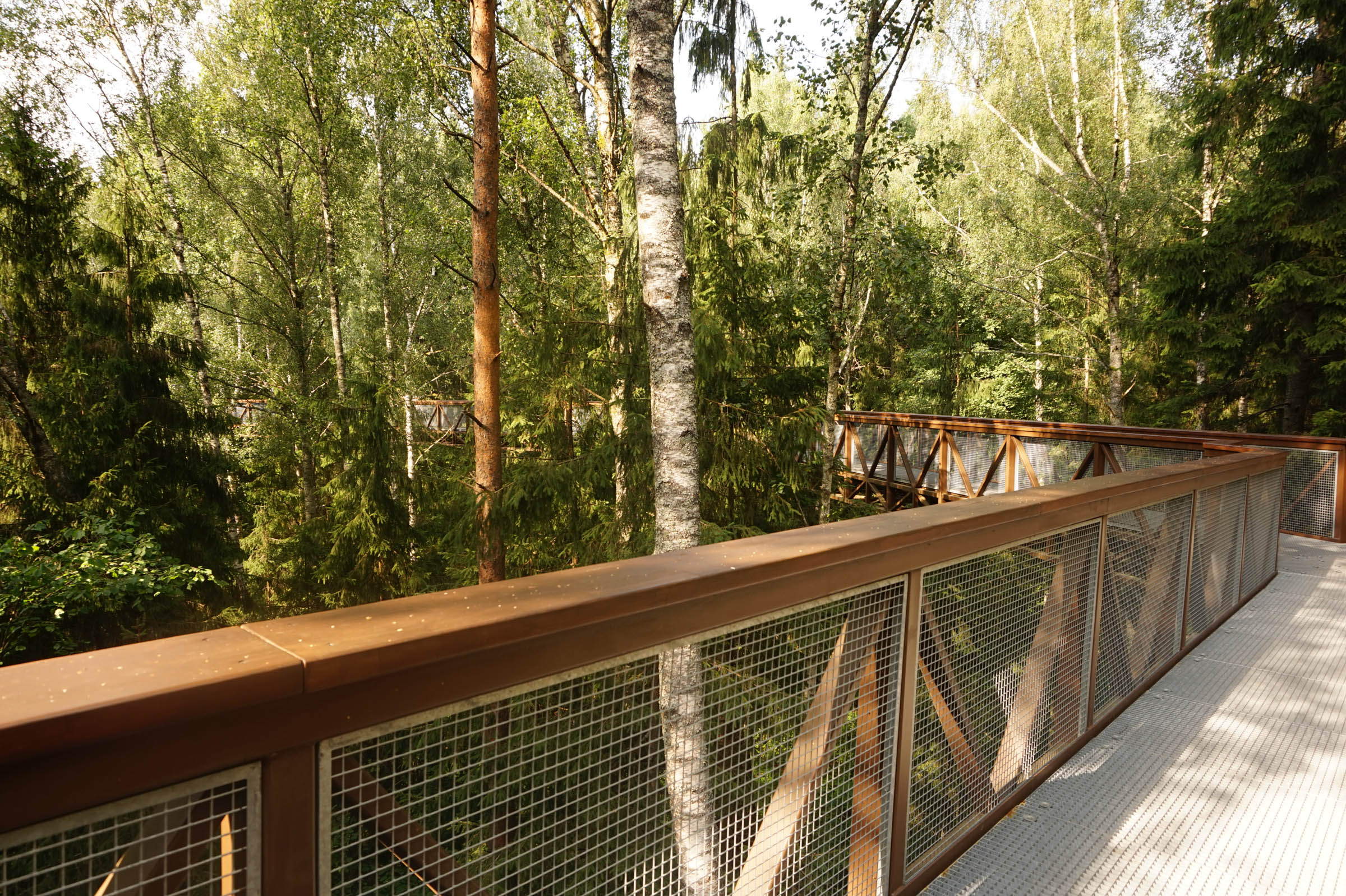 The treetop walking path, Anyksciai, Litvánia