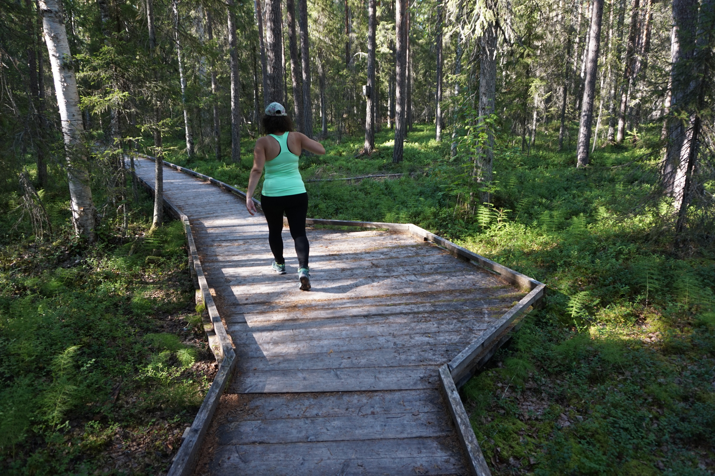 Akár kerekesszékkel is, Könkäänsaari, Rovaniemi