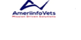 AmeriInfoVets logo