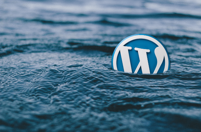 wordpress business site