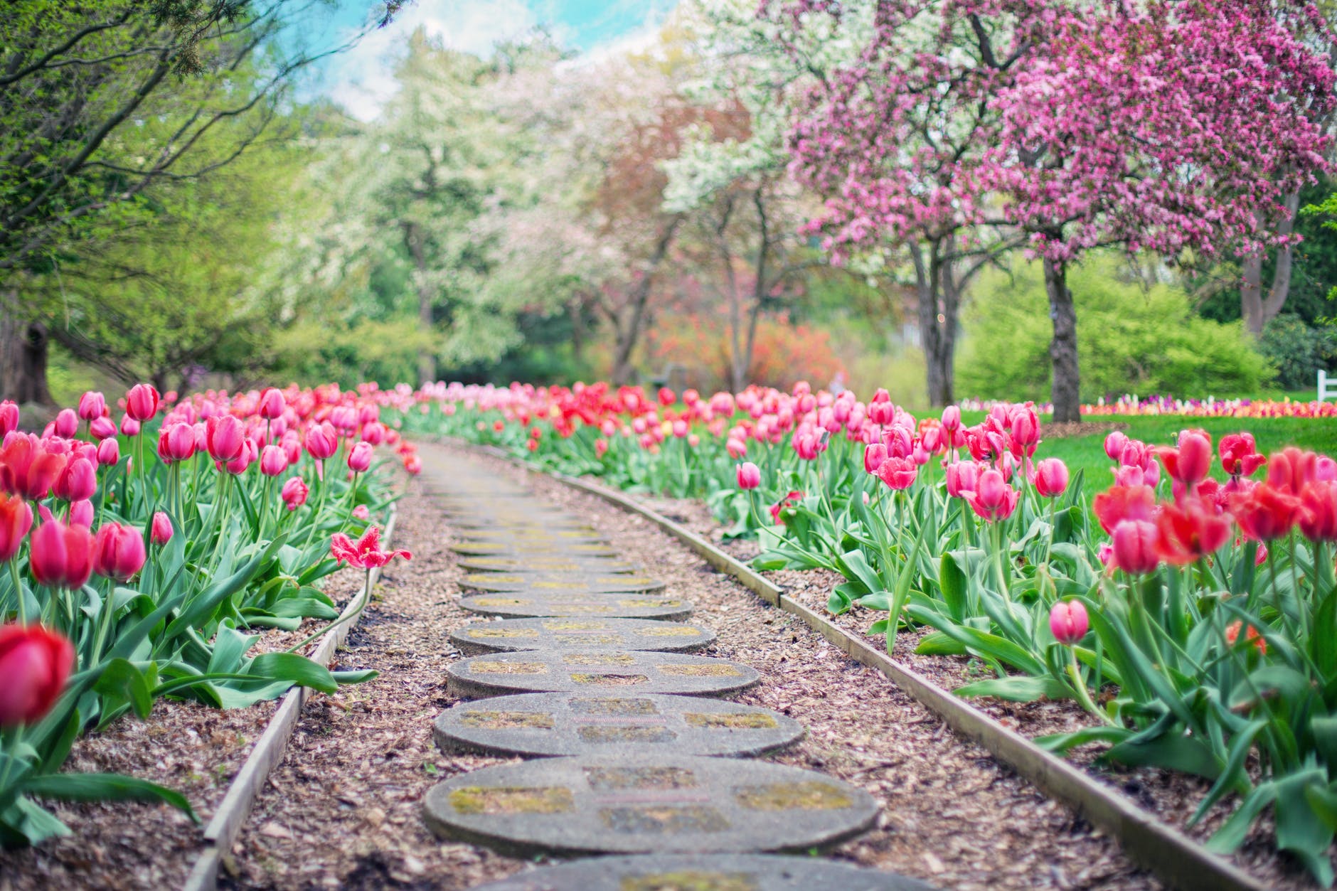 Fix Your Garden before Selling Your Home