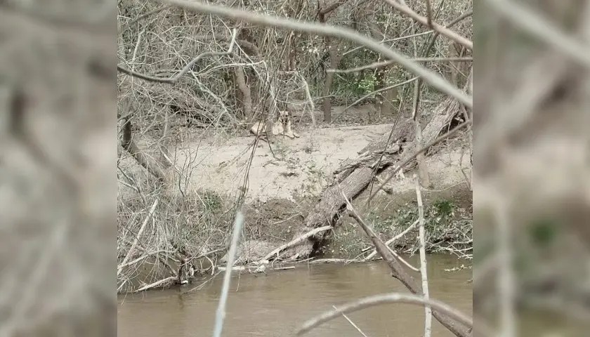 image (2)