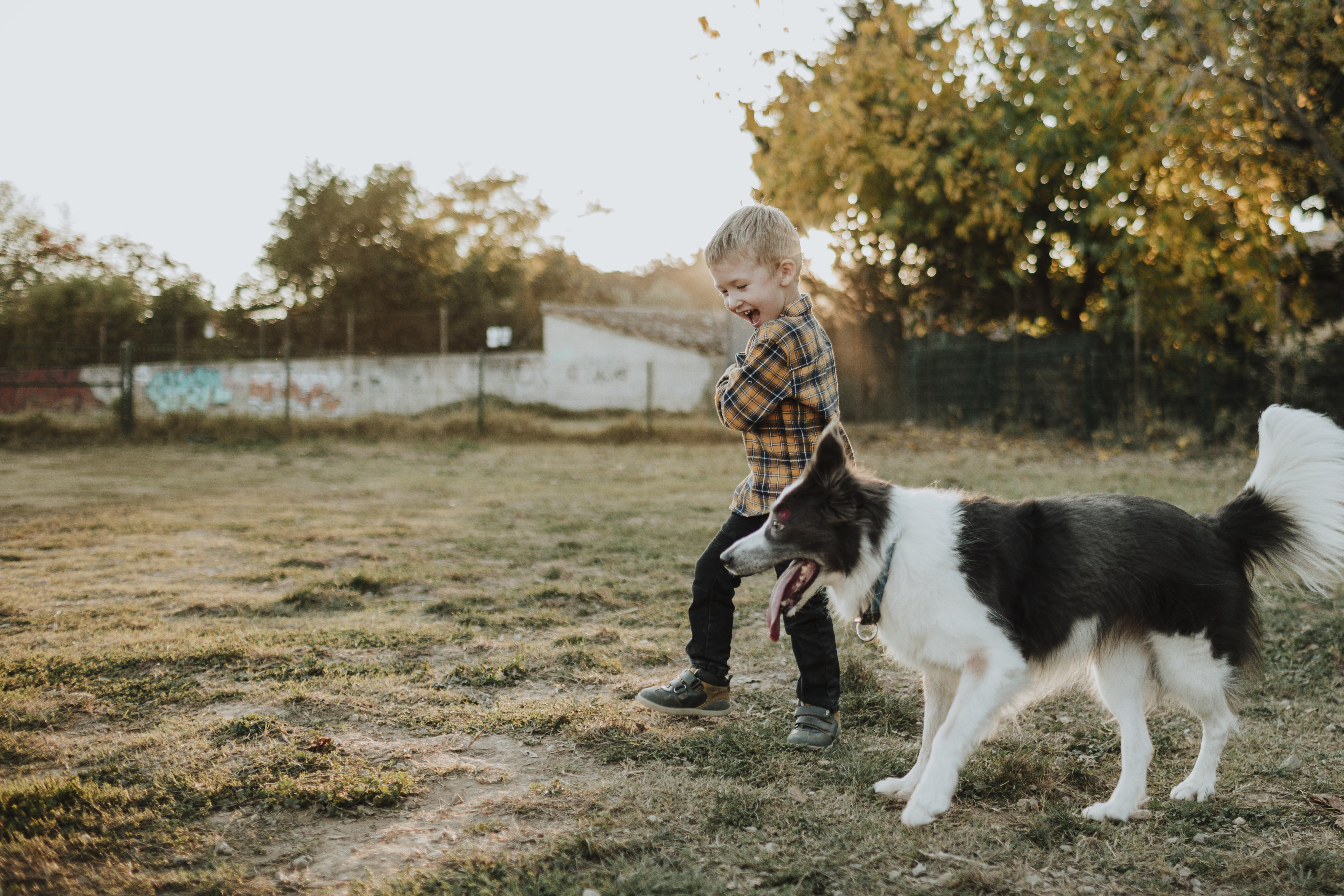 Sustainability Vimian - Download Artistic Sunset Design | Desktop