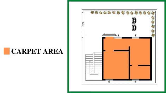 carpet area