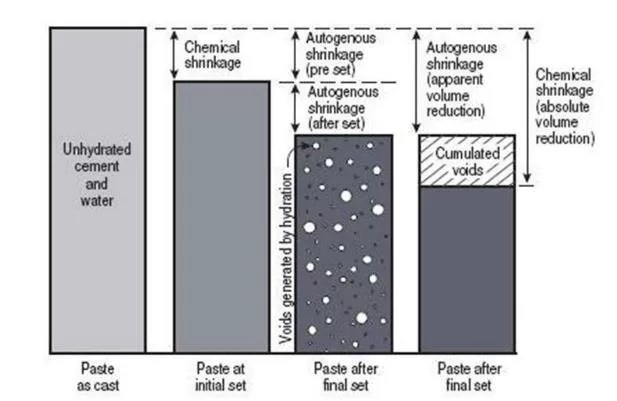 Autogenous Shrinkage