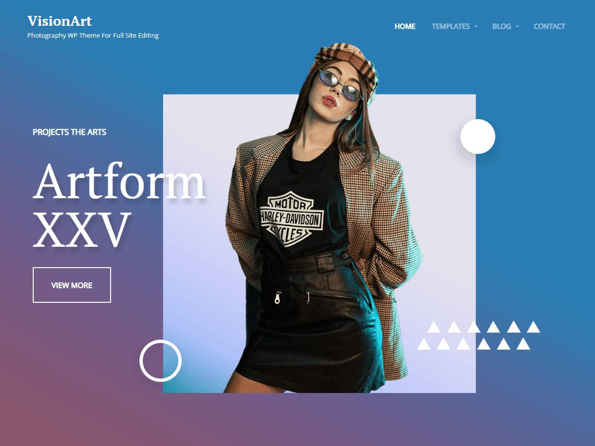 VisionArt WordPress Theme