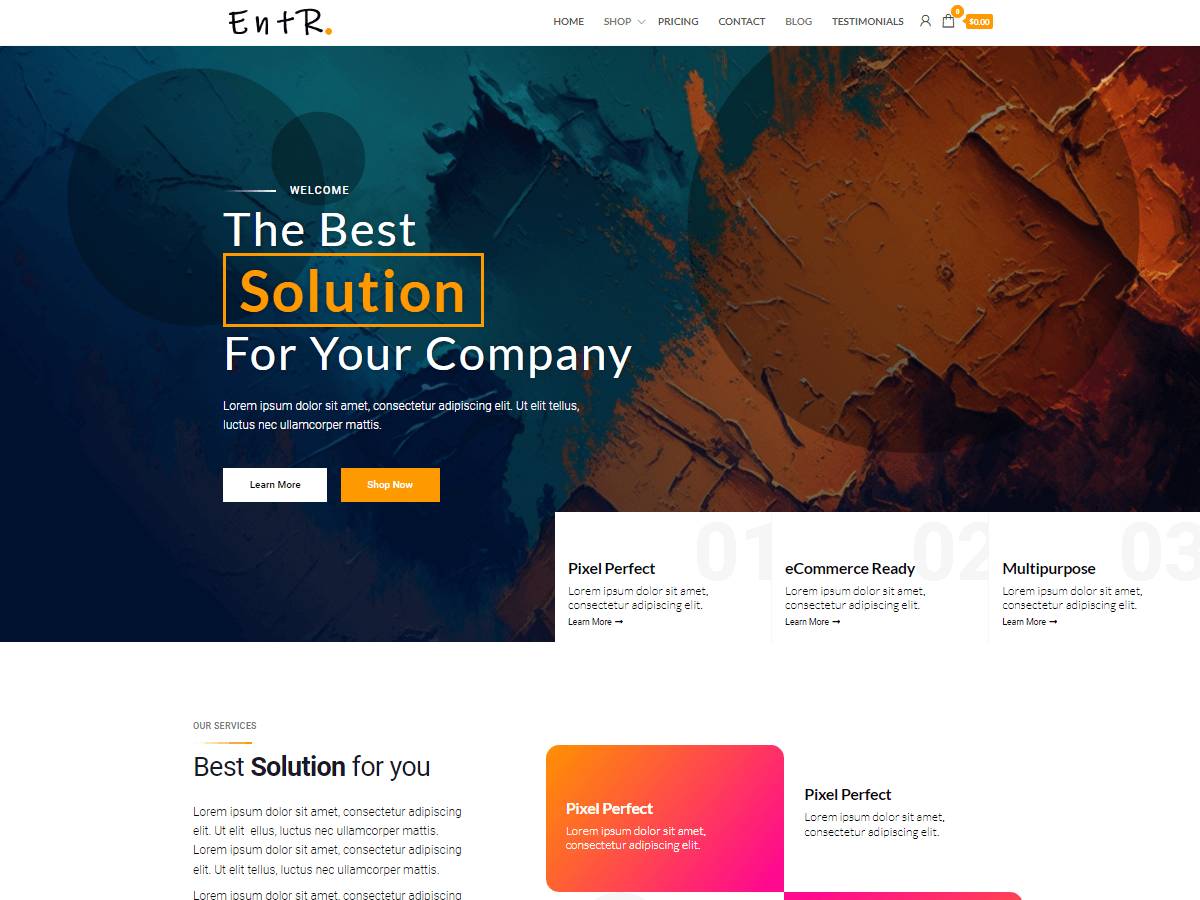 Entr WordPress Theme