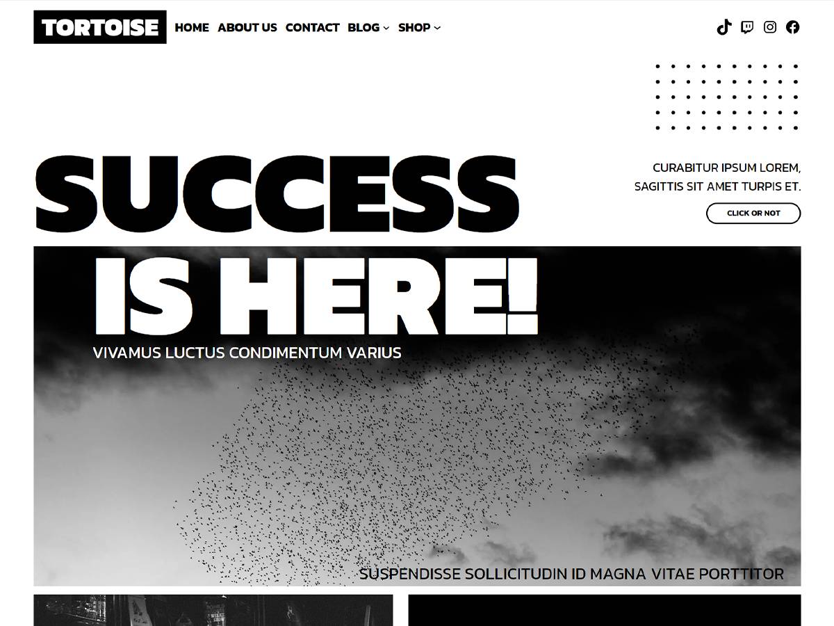 Tortoise WordPress Theme