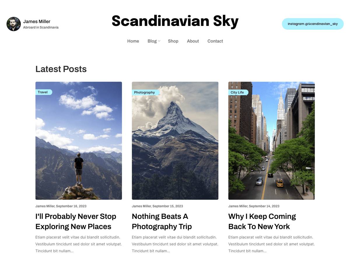 Scandinavian Sky WordPress Theme