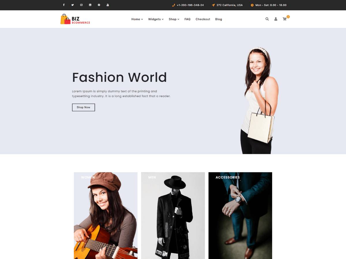 Biz Ecommerce WordPress Theme