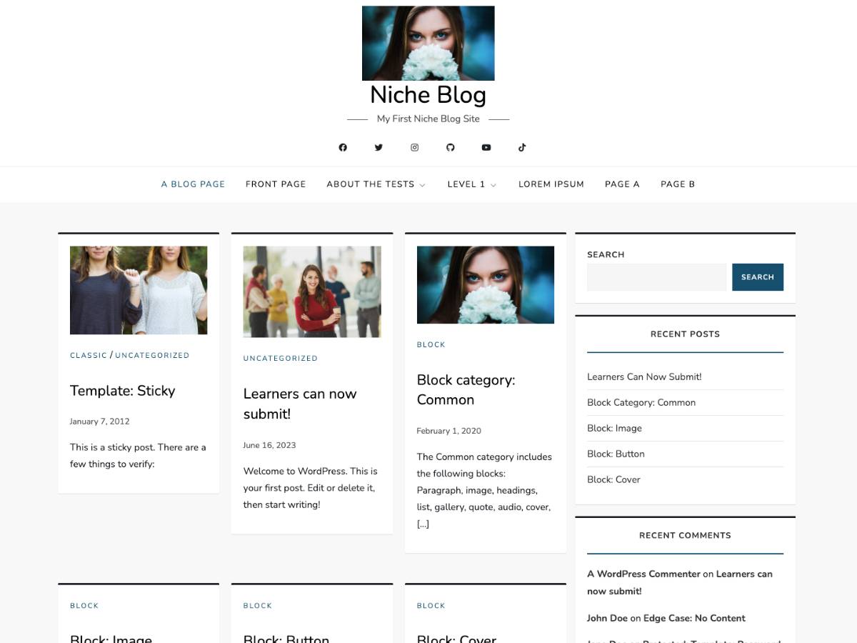 Niche Blog WordPress Theme