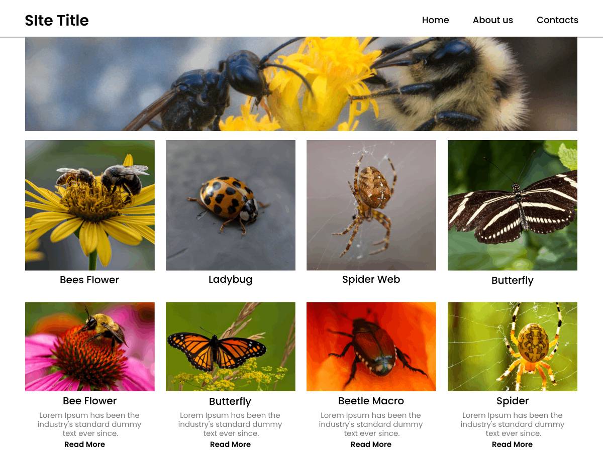 Ava WP WordPress Theme