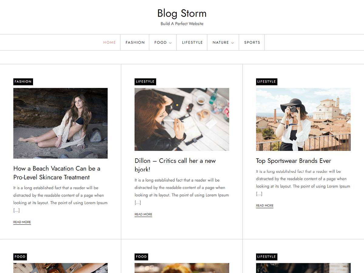 Blog Storm WordPress Theme