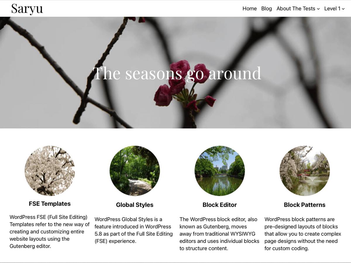 Saryu WordPress Theme
