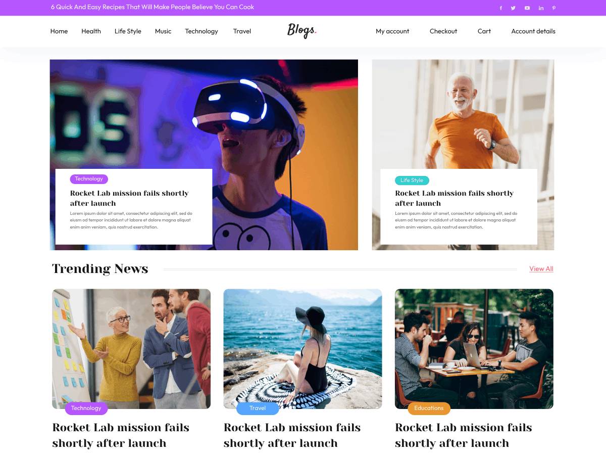 Professional Blogger WordPress Theme