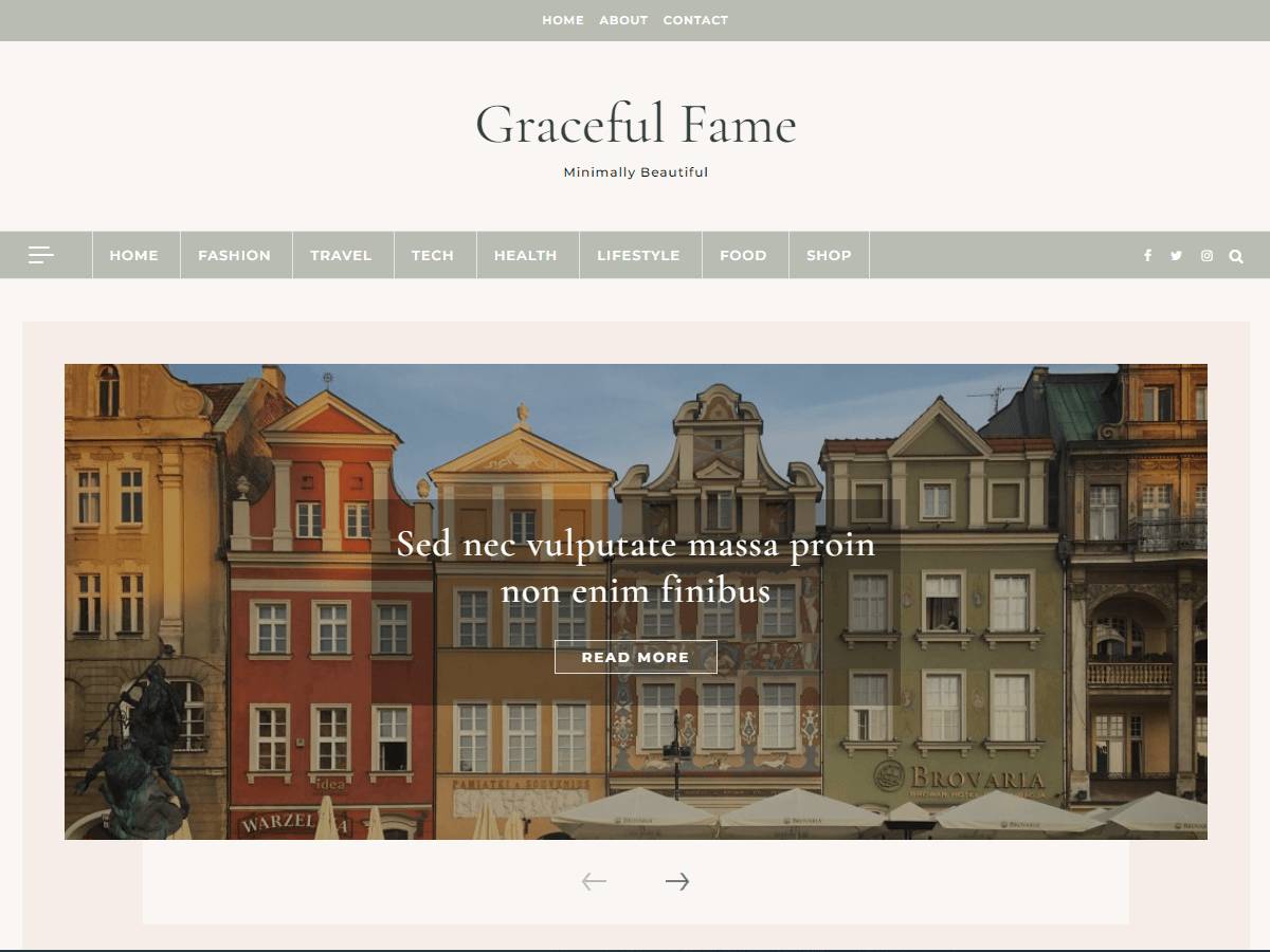 Graceful Fame Blog WordPress Theme