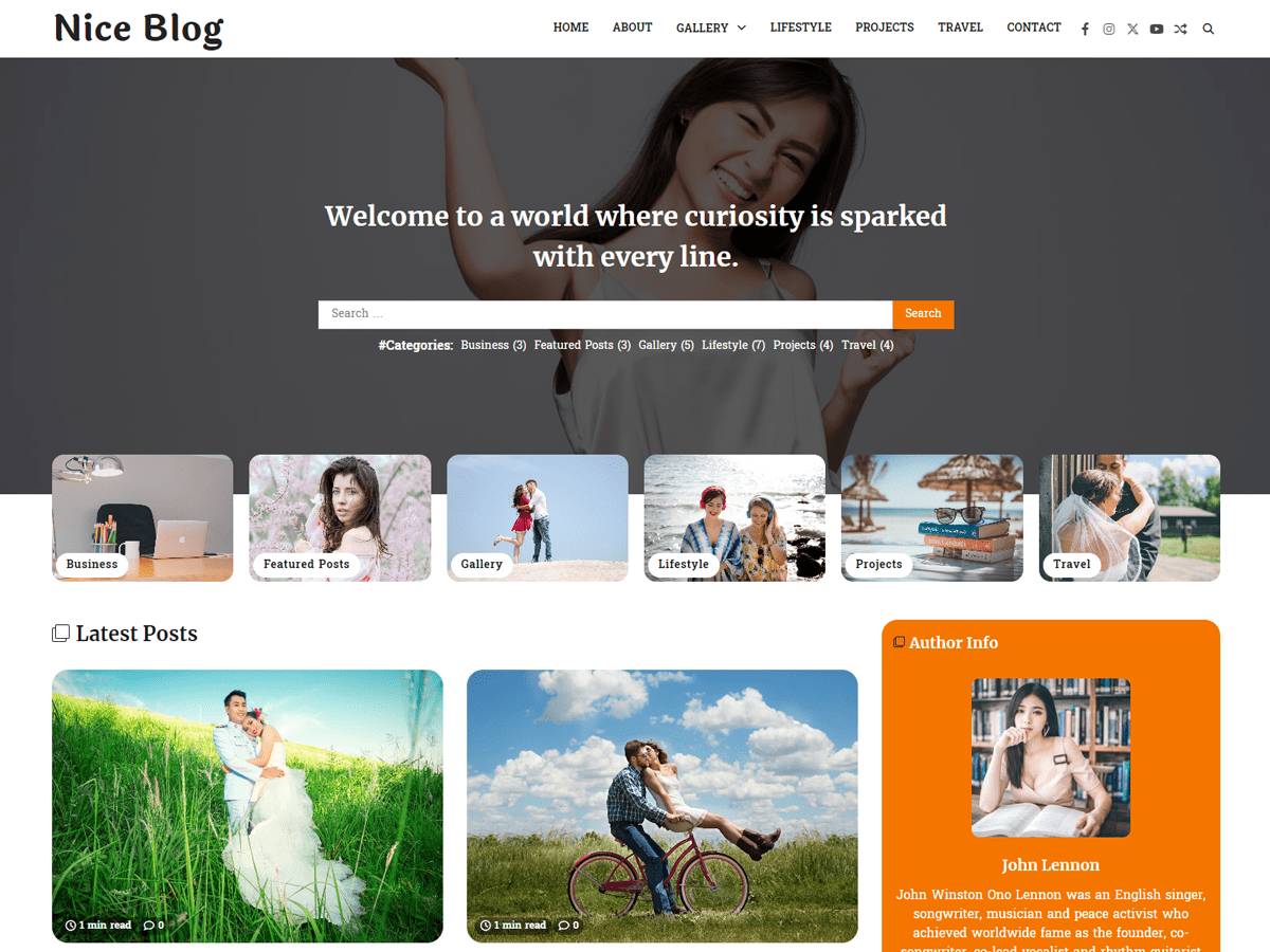 Nice Blog WordPress Theme