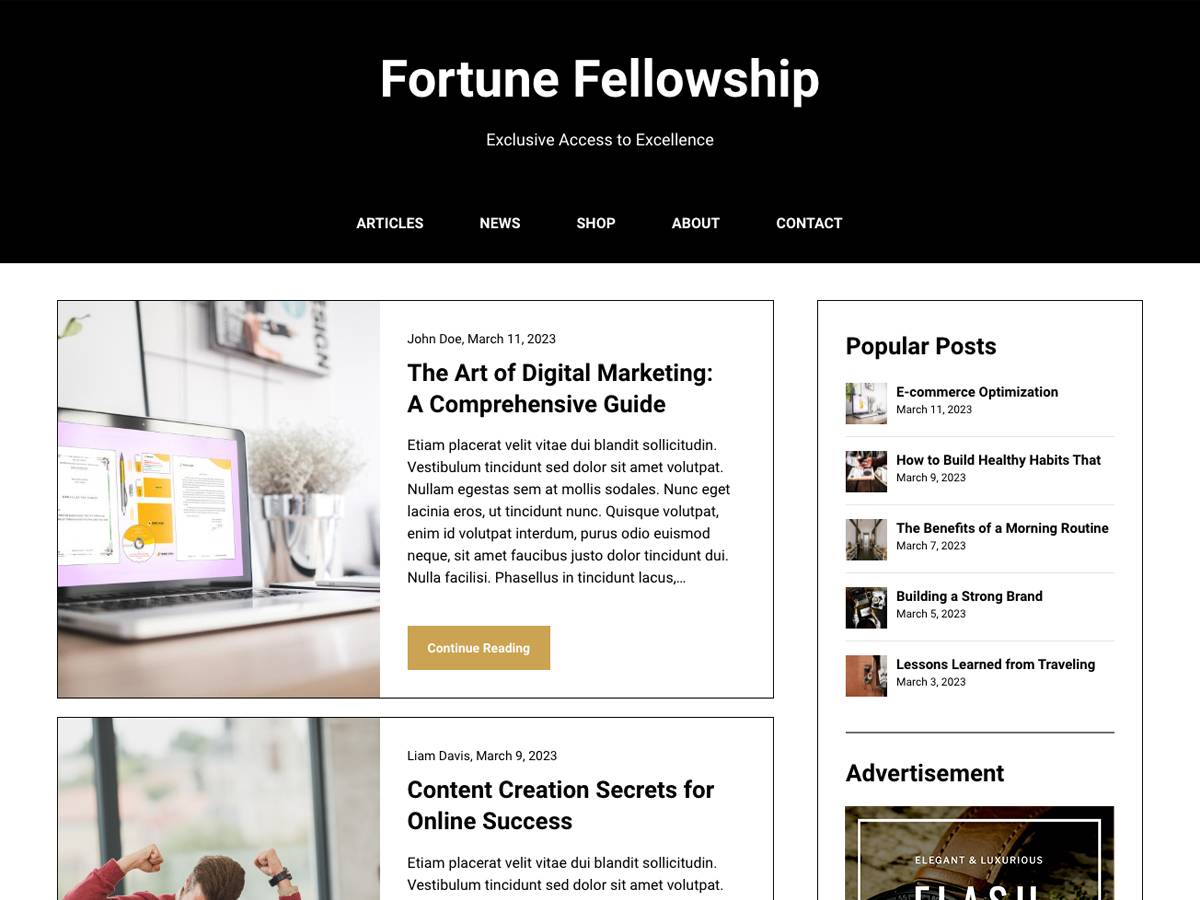 AffiliBlog website blog WordPress Theme