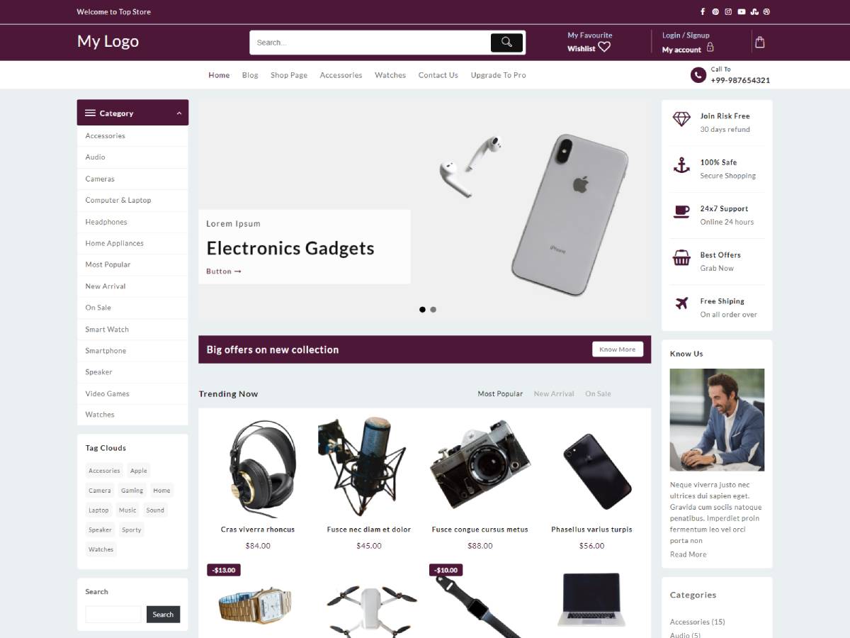 Free Just Store  WordPress Theme
