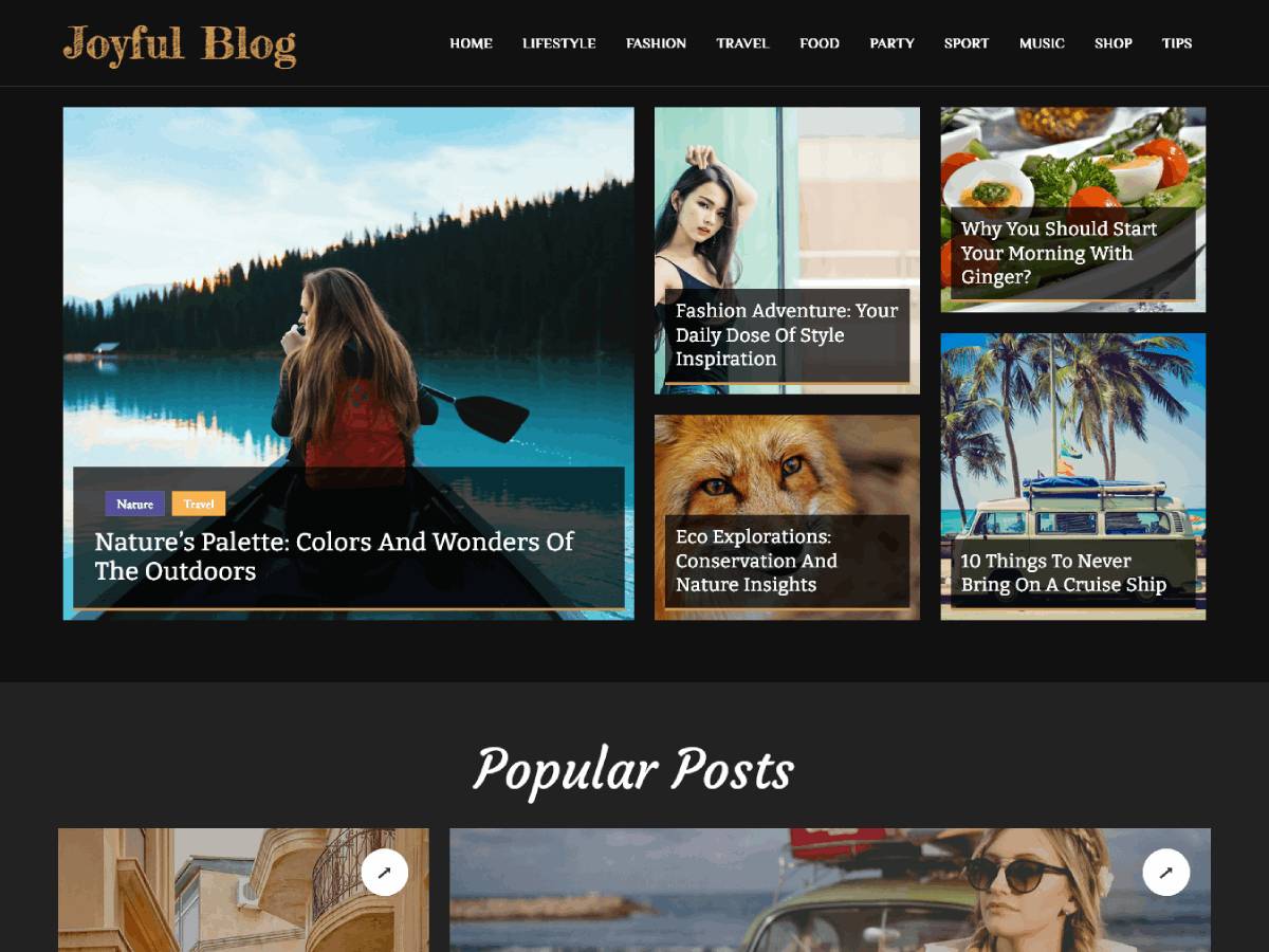 Free Joyful Blog WordPress Theme