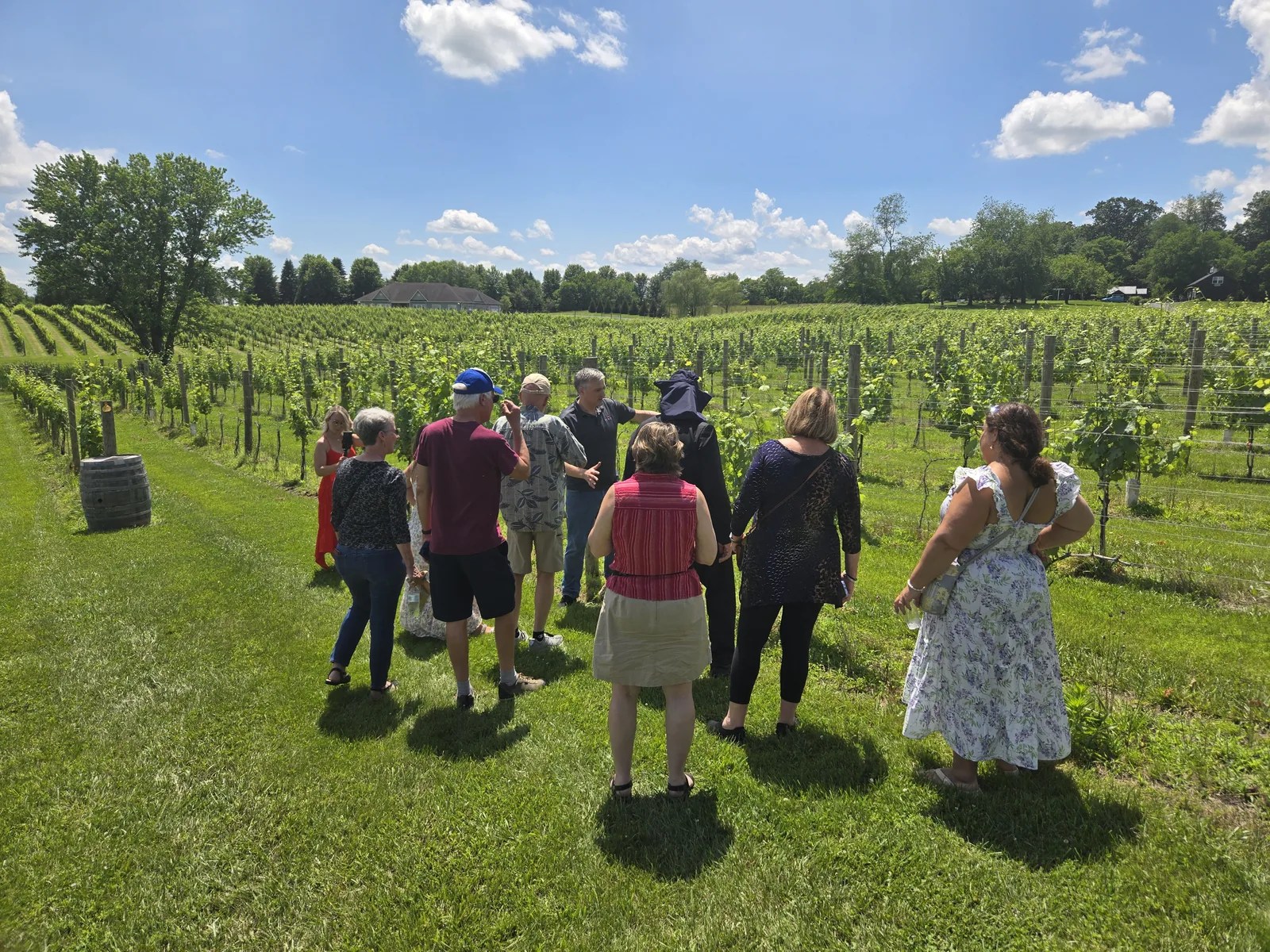 Guests walking between vineyard rows during a Vineyard Voyages experience