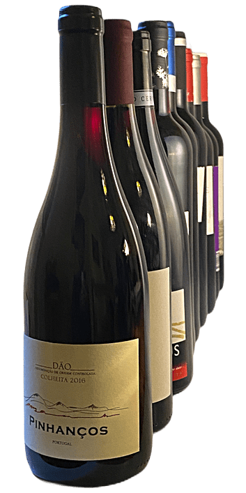 Probierpaket 12 Fl. Rotwein
