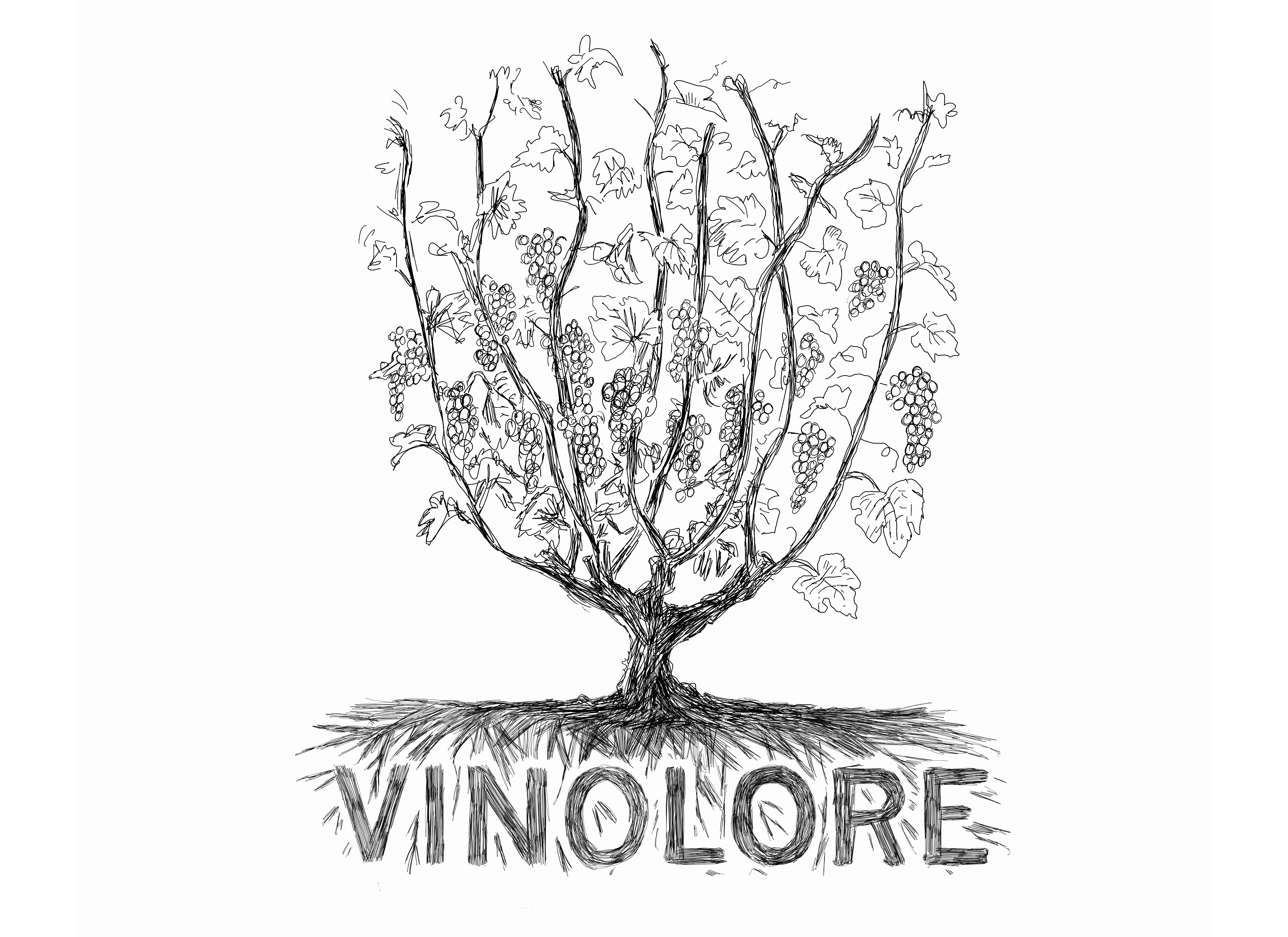VINOLORE