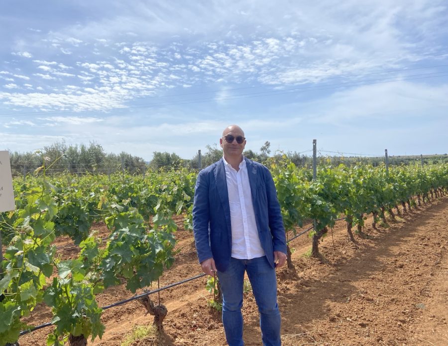 “NOTE DI VENDEMMIA”: LE VOCI DAI TERRITORI SULLA RACCOLTA 2026