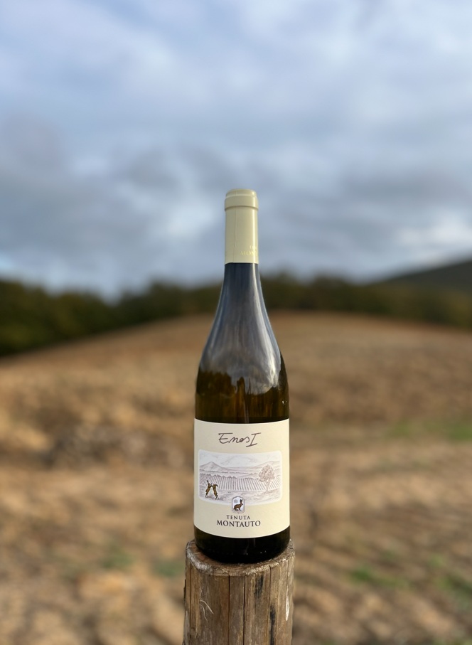 Riconferma per Enos I: Tenuta Montauto conquista di nuovo i Tre Bicchieri del Gambero Rosso con il Sauvignon V. V. 2025