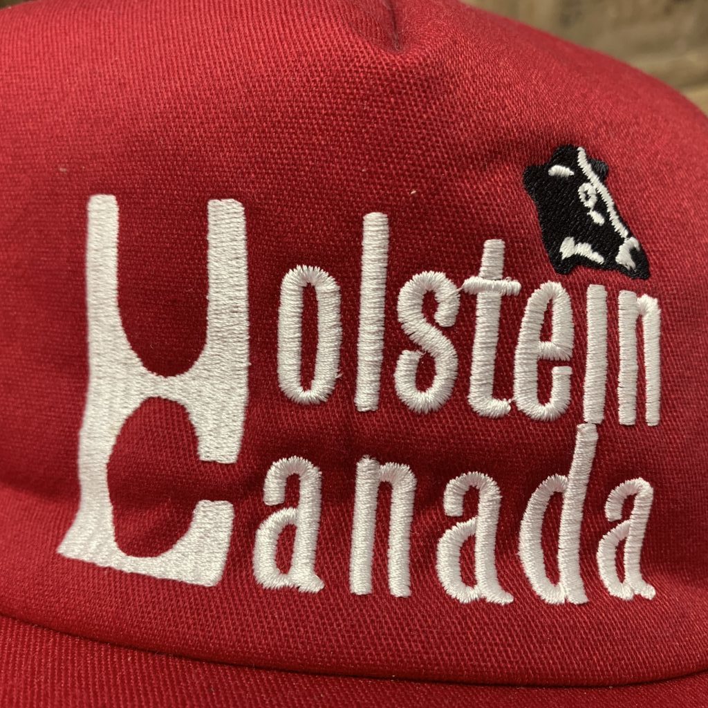Casquette Vintage Yupoong Palmetto Holstein Classique 95 | Snapback Orange Années 90 | Occasion