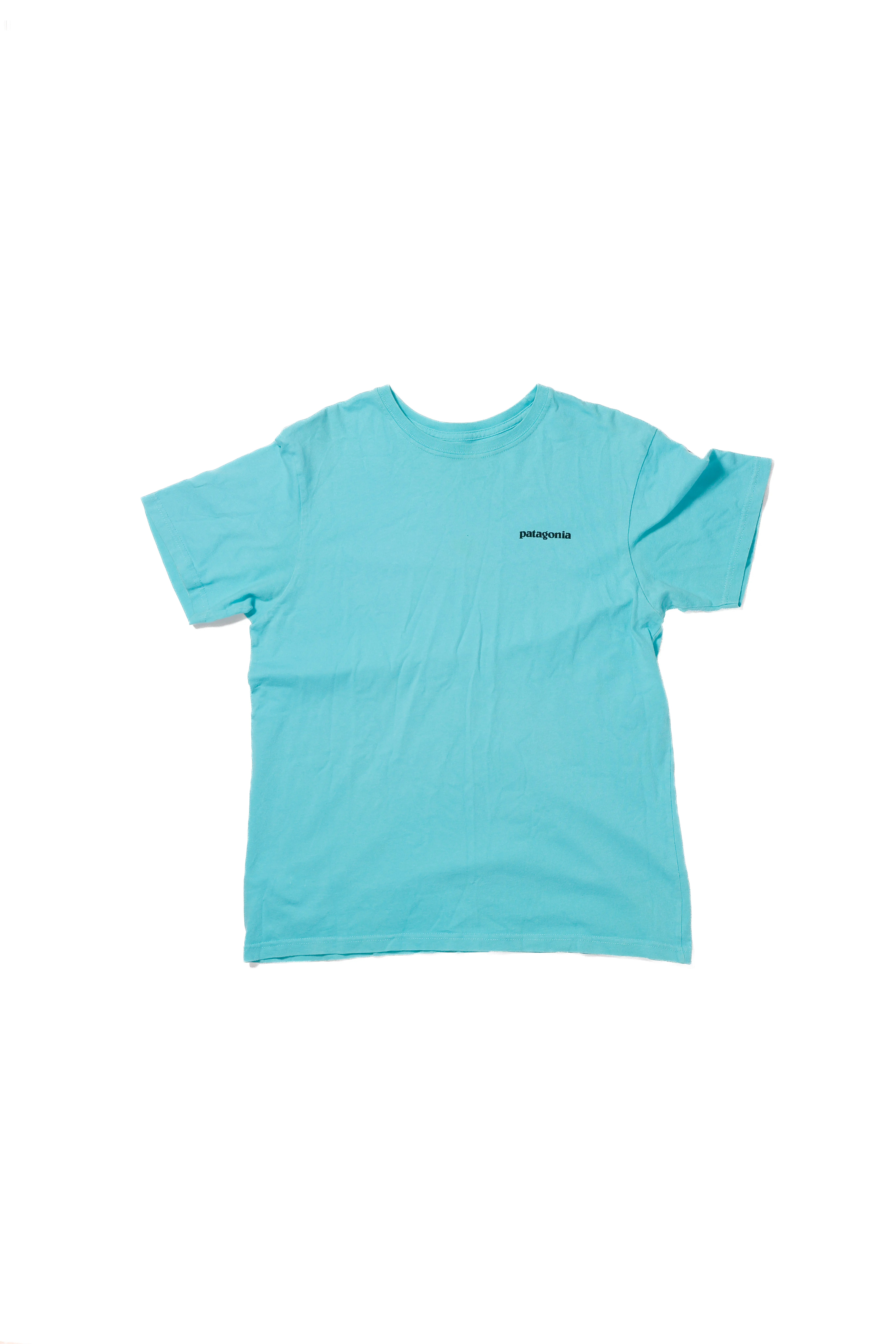Patagonia T-Shirt, Turquoise - M