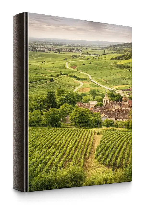 Campos de Bourgogne