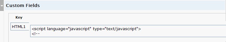 Add the HMTL1 into the Key, then add the embed or HTML code
