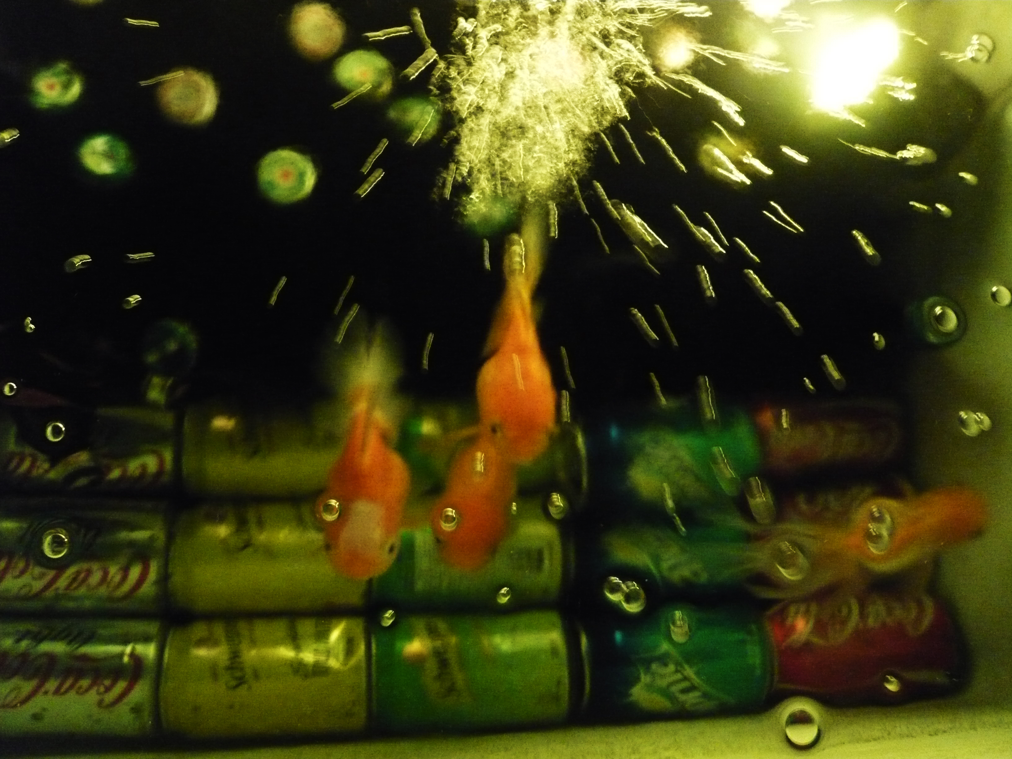 q_Aquarium