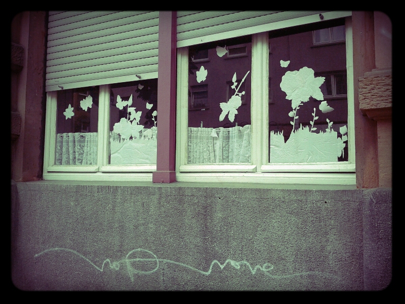 q_fenster