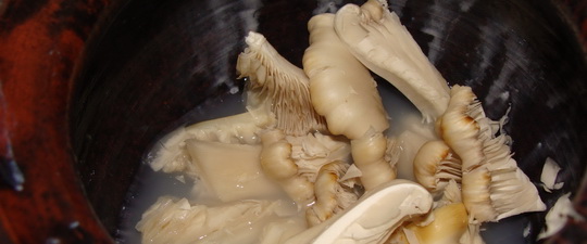 Толстеют ли от грибов маринованных. Можно ли поправиться от грибов