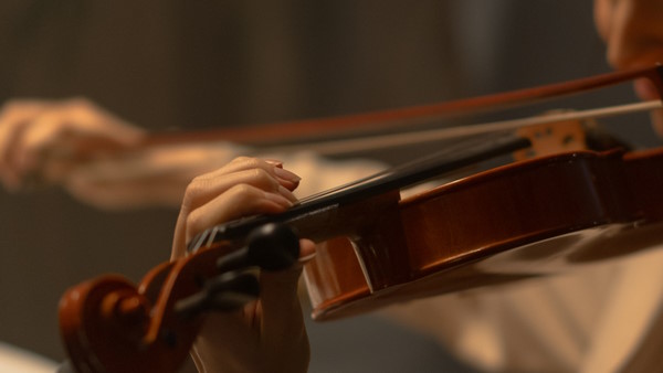 violin technique