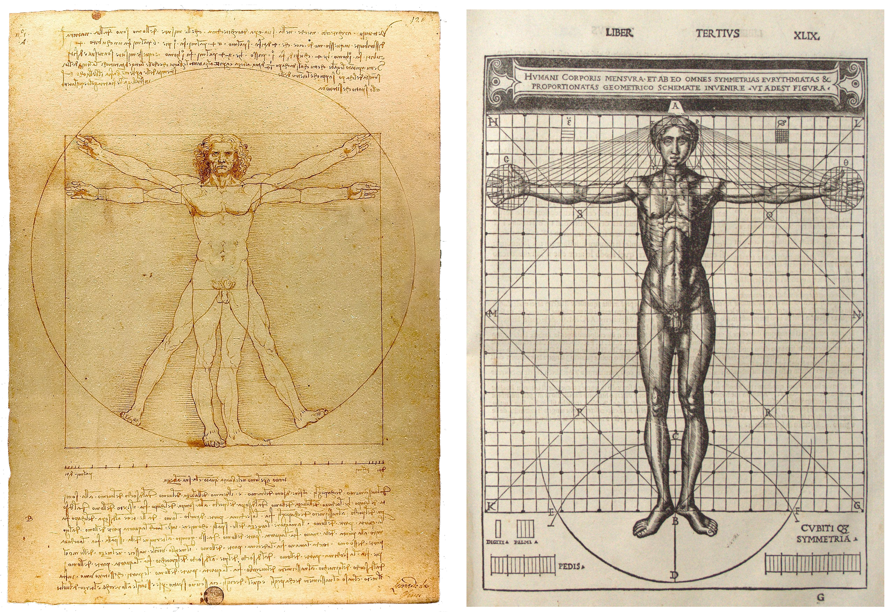 Michelangelo, Marco Girolamo Vida and some art-historical
