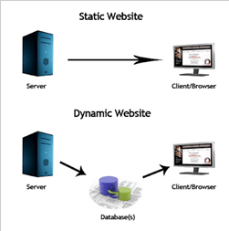 Menggunakan bahasa pemrograman web seperti php, asp, dll. Website Dinamis Vs Website Statis Vioni Jannet Chrisintha