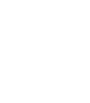 Player icon for the Minimap