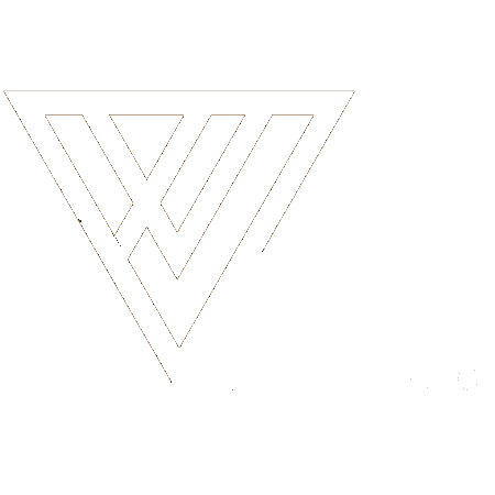 VionixStudio