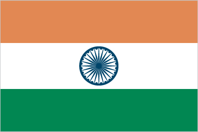 in-flag.6913a15d