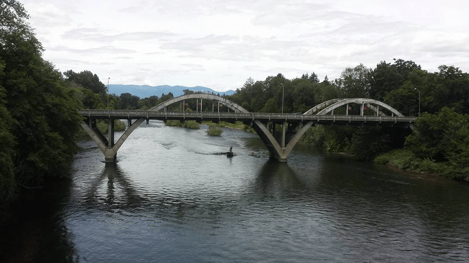 Pest Control in Josephine County Oregon | Valley Inspections and Pests