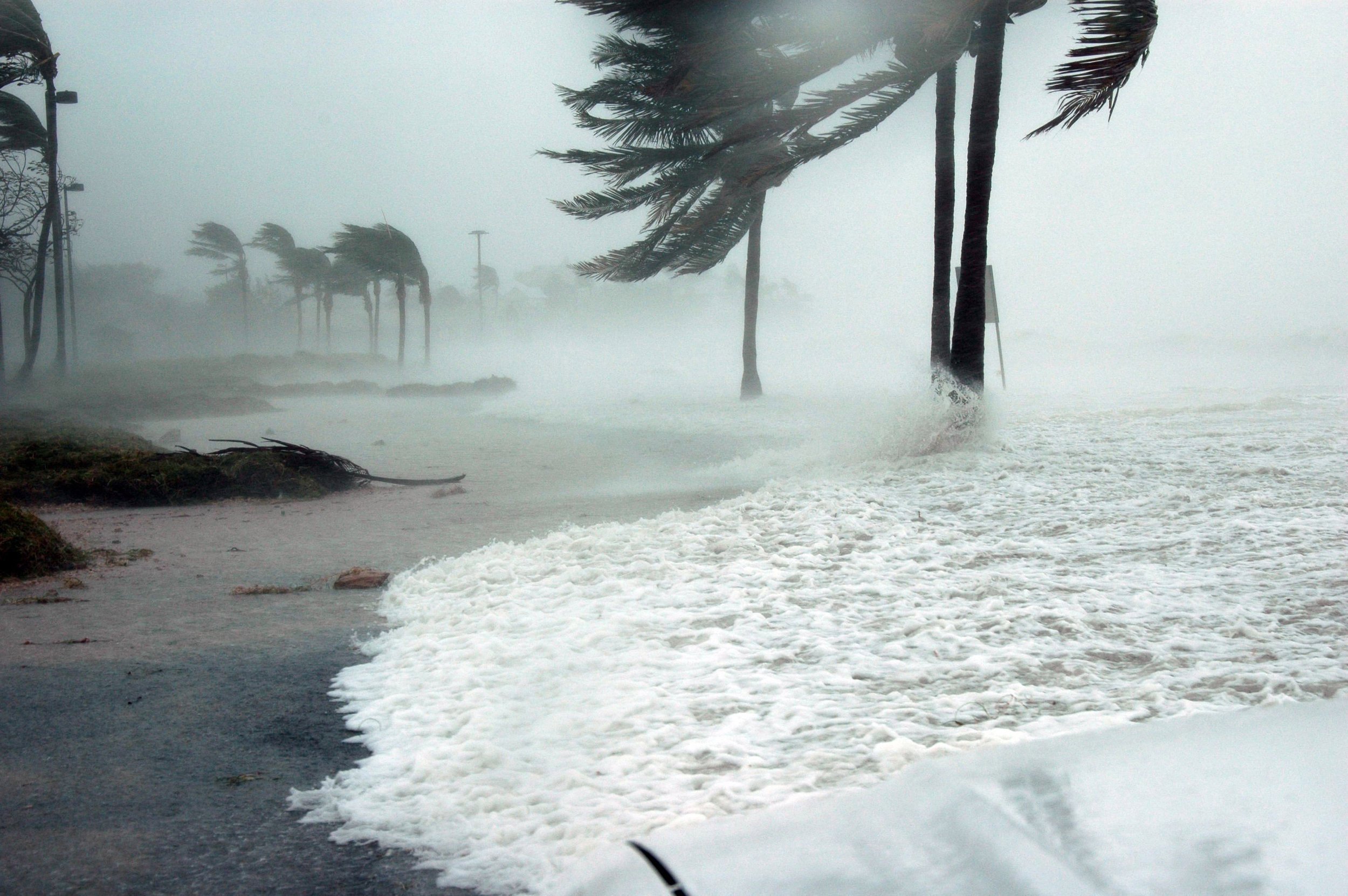 VIRA Broadcasting | Hurricane Erin Causes Widespread East Coast Beach Closures and Evacuations