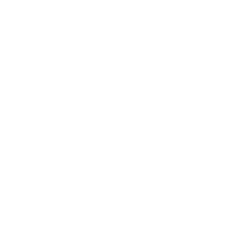 Features icon