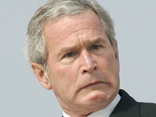 Bush10 Bush10