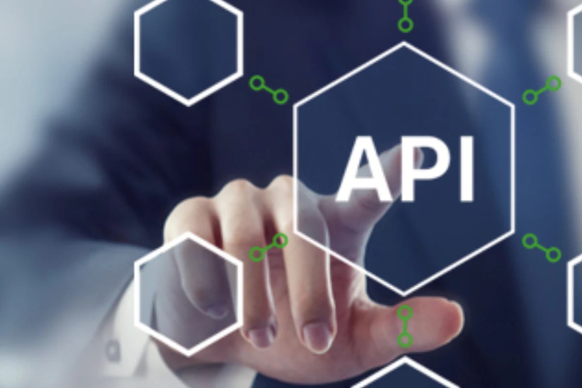 Application Programming Interfaceiris 3d 2021 04