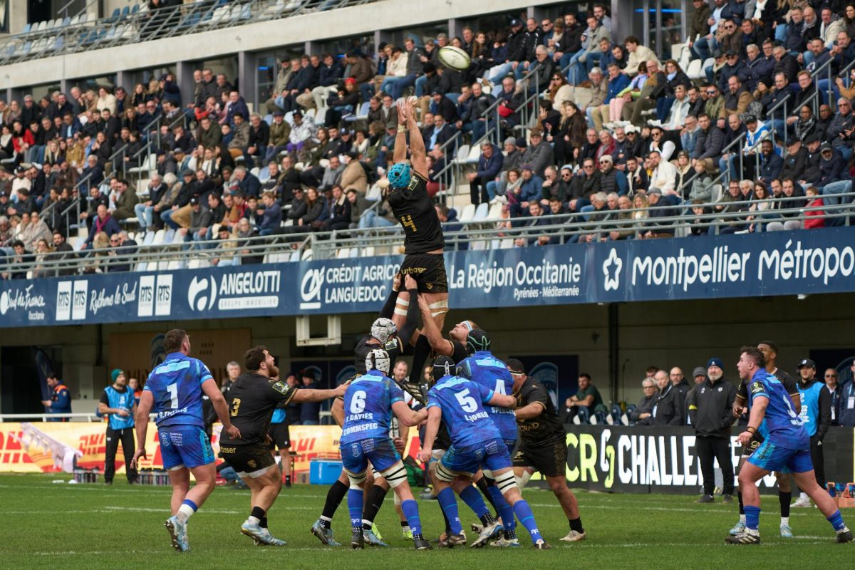rugby match crowds cheering in montpellier