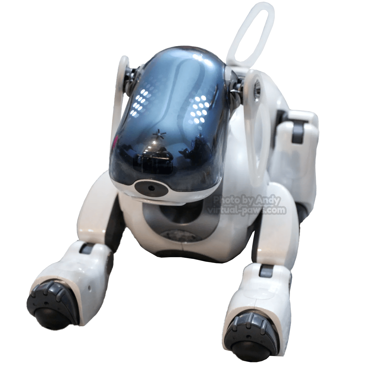 ソニーaibo ERS-7 ERS-7 | Aibo