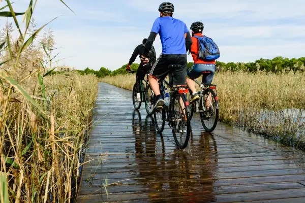 Contemplando a Natureza: Uma Aventura Rural